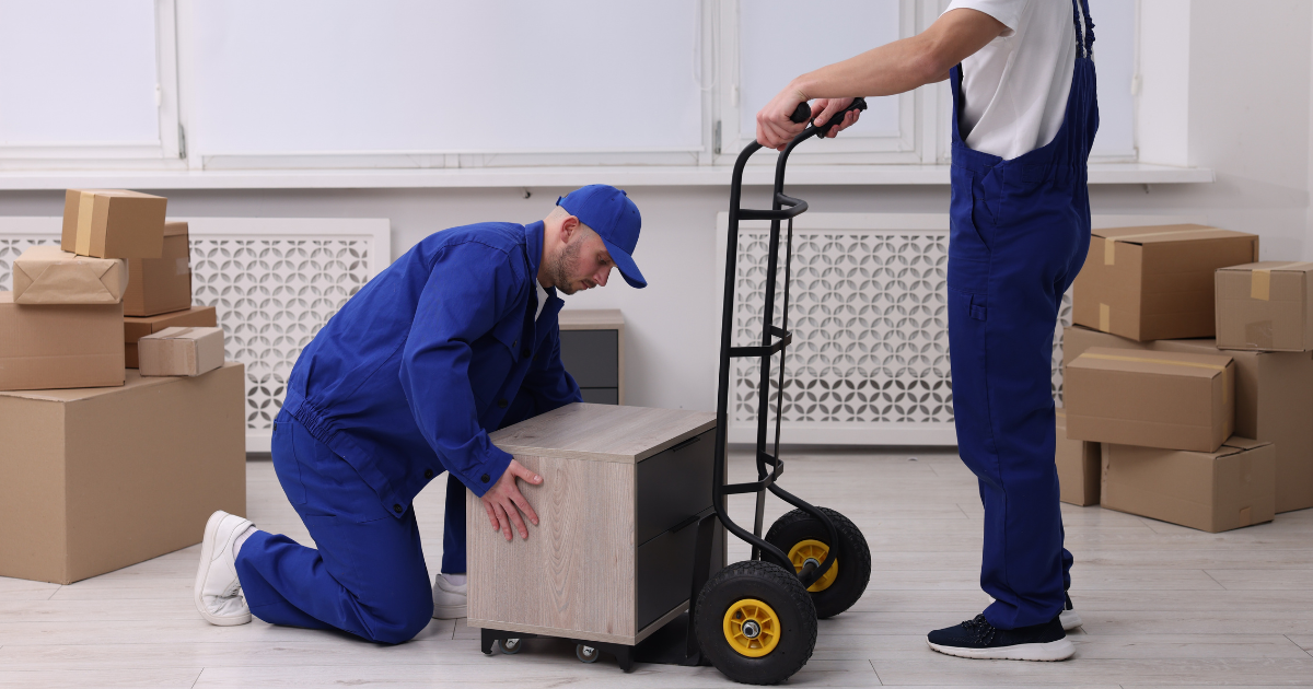 professional moving services