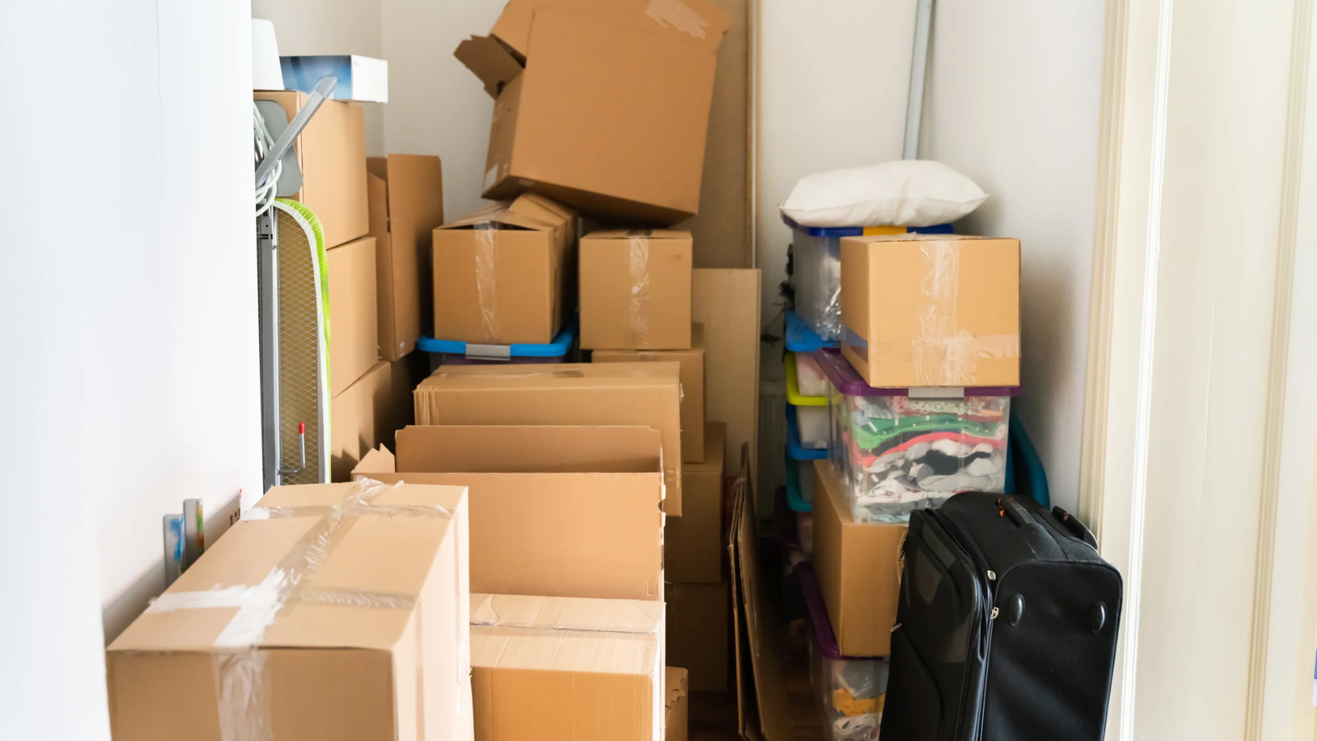 Estate Sale Support With Clearer Organization